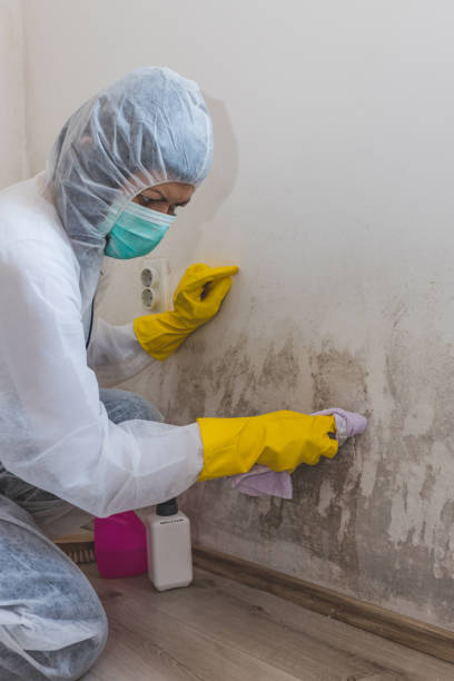 Best Mold Prevention Services  in Tucker, GA