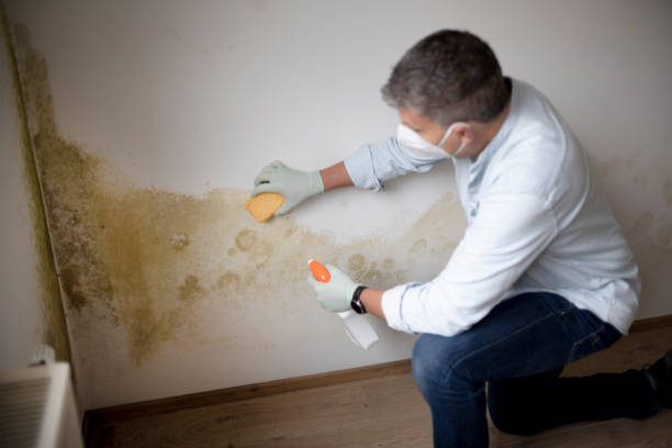 Best Commercial Mold Inspection  in Tucker, GA