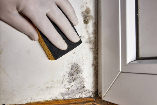 Best Biohazard Mold Removal  in Tucker, GA