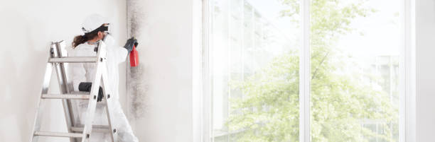  Tucker, GA Mold Removal Pros